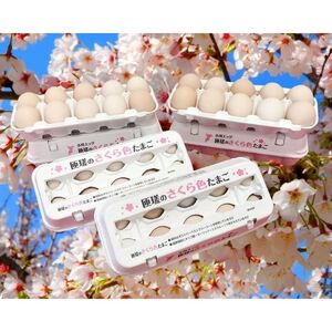 匝瑳の“さくら色”たまご　Lサイズ　贈答用120個