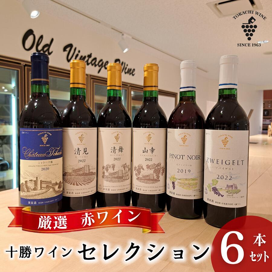 【ふるさと納税】【厳選赤ワイン】十勝ワイン6本セレクション 北海道池田町 赤ワイン 本格派 十勝ワイン ビンテージ 赤ワインセット 送料無料