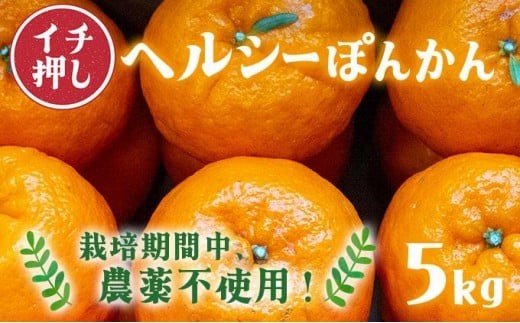
                  F94　ヘルシーぽんかん5kg　ポンカン ぽんかん 国産 東洋町産 オレンジ 蜜柑 ミカン 果物 フルーツ 甘い 酸味 ジューシー 完熟 高知県 四国 お取り寄せ 贈答 贈り物 ギフト 内祝 家庭用 自宅用
                