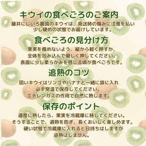 【 先行予約 】 キウイ フルーツ レインボーレッド 約490g （5玉） 希少な赤い果肉の極甘キウイ 山口 阿武町産 フルーツ 果物 デザート【 数量限定 】2025年10月20日頃～12月20日頃
