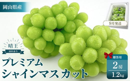 2025年予約受付中  プレミアム　シャインマスカット　晴王 2房　約1.2kg　人気　岡山県産　赤秀品  種無し　皮ごと食べる　みずみずしい　9月～10月お届け　フレッシュ　晴れの国　おかやま　果物