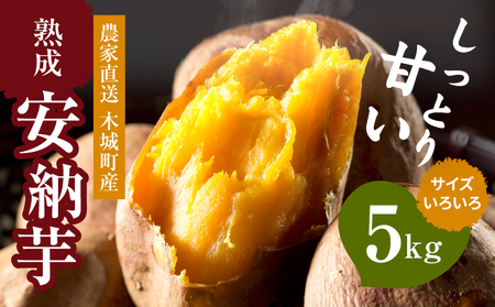 【先行予約】農家直送 木城町産 熟成安納いも5㎏ K30_0001_1