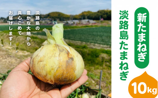 【新たまねぎ】淡路島たまねぎ（10キロ）【発送時期：2026年5月頃】