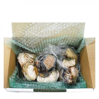 ふるさと納税 伊平屋村 夜光貝 3パック 800g(1パックあたり200g〜300g) |  | 02