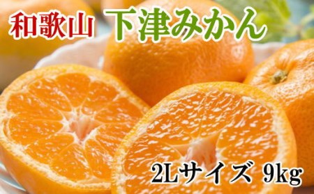 【産直・秀品】和歌山下津みかん　9kg(2Lサイズ)　※2024年11月中旬～2025年1月中旬頃に順次発送【tec869】