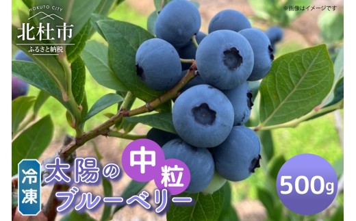 【中粒】山梨県産（明野産）冷凍　ブルーベリー500g　無農薬 期間限定 数量限定 フルーツ くだもの 冷凍フルーツ 新鮮 ジュース ジャム お菓子 山梨県 北杜市 明野町 7000円 7000 10000円以下
