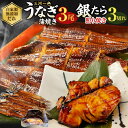 【ふるさと納税】(中)5P 三河一色 うなぎ 蒲焼き 3尾 × 銀たら 3切れ (肝焼き付き) 鰻 かば焼き 銀だら タラ 肝焼き タレ付き お魚 湯煎 惣菜 セット 簡単調理 冷凍 幸田町 送料無料