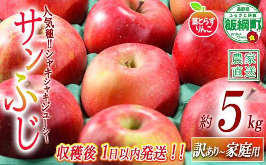【 フレッシュ便 / 採れたて発送 】 りんご 葉とらず サンふじ 訳あり 5kg フレッシュフルーツミカズキ 2026年11月中旬頃から2026年11月下旬頃まで順次発送予定 令和8年度収穫分 傷 不揃い リンゴ 林檎 果物 フルーツ 信州 長野 予約 農家直送 長野県 飯綱町 [1674]