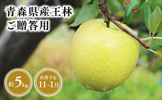2025年産 １１月～１月発送　贈答用王林5kg【青森県 平川市 そと川りんご園】１１月～１月発送 贈答 青森 青森県産 平川 りんご リンゴ 林檎 くだもの 果物 フルーツ 