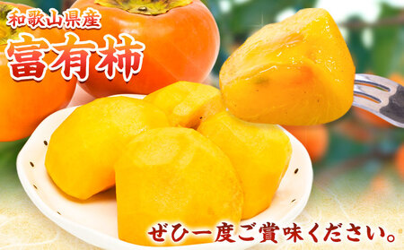 柿 富有柿 約3.5kg