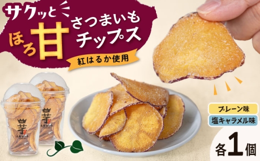 入江農園 さつまいもチップス（プレーン味・塩キャラメル味 各1個）2個入り 糸島市 / いとのKIKORI [AFR003]