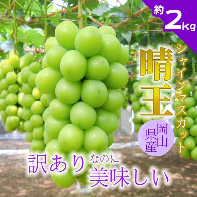 【2027年発送】訳あり!シャインマスカット晴王☆約2kg!8月中旬～順次発送【人気の岡山産ぶどう】【配送不可地域：離島】