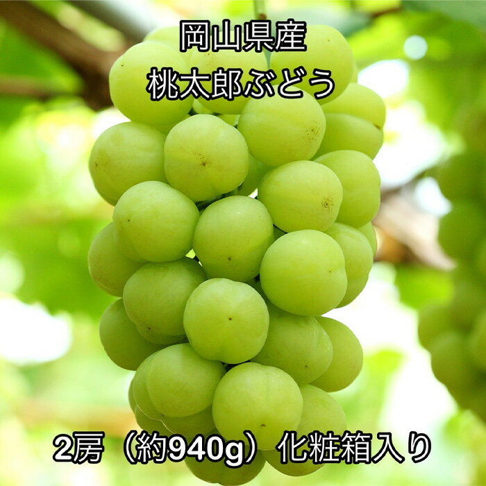 【ふるさと納税】岡山県産 ぶどう 葡萄 ブドウ 種無しぶどう 桃太郎ぶどう スイーツ フルーツ お取り寄せ ギフト 贈答用 デザート 旬 桃太郎ぶどう2房(約940g) 化粧箱入り 岡山県産