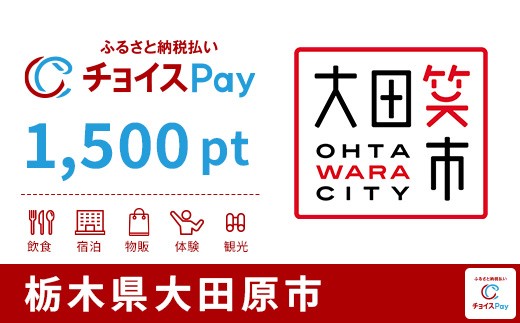 
                  大田原市チョイスPay 1,500pt【会員限定のお礼の品】
                