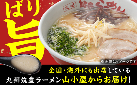 【6回定期便】 九州筑豊ラーメン山小屋 （焼豚・高菜・角煮）ラーメン定期便 広川町 / ワイエスフード株式会社[AFAE011]