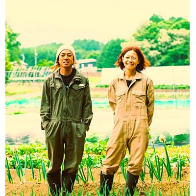 ふるさと納税 原村 【先行受付】季節の変り野菜セット(Mサイズ) |  | 02