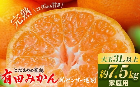有田みかん 約7.5kg 大玉3L以上 有機質肥料100% ＼光センサー選別／ ｜ みかん