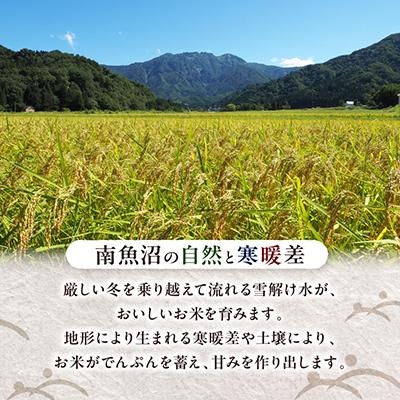 ふるさと納税 南魚沼市 特別栽培米南魚沼産こしひかり「ふんわりパックごはん200g×10個」 |  | 03