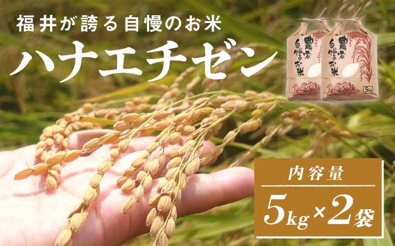 【ANA限定！350袋限定販売！！】＜2025年10月以降 順次発送予定＞令和7年産　ハナエチゼン　通常便（1回配送）計10kg（5kg×2袋）