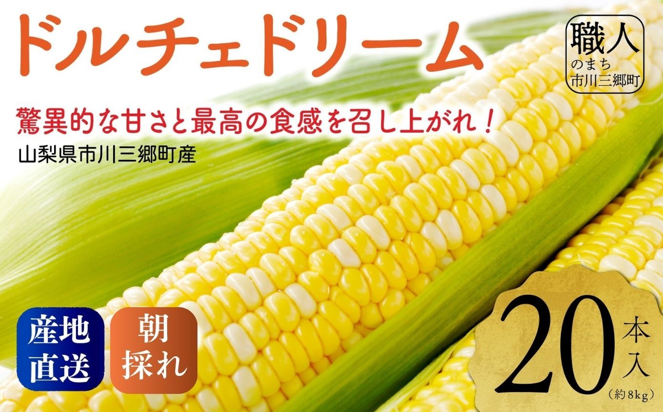 
                  2027年発送！【山梨県市川三郷町産】Inakakara「ドルチェドリーム」20本入 ｜ 先行予約 先行受付 先行 ドルチェドリーム ドルチェ トウモロコシ とうもろこし スイートコーン 旬 季節 夏野菜 野菜 産地直送 採れたて 朝採り 山梨 市川三郷町 市川三郷 BBQ 甘い [5839-2166]
                