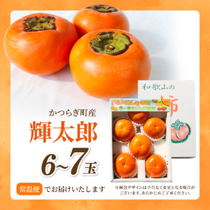 【希少な高級甘柿】先行予約 〇 輝太郎 〇 6～7玉入り【2026年9月中旬～10月上旬頃発送予定】【A-frks176】