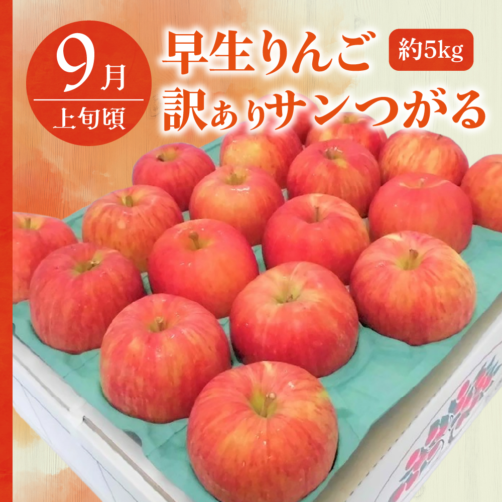 【9月発送開始】 フルーツ定期便 3回 【訳あり】 りんごづくしセット