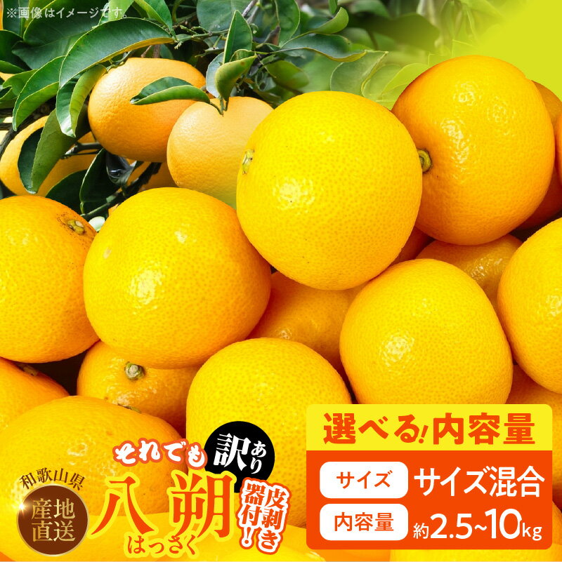 【ふるさと納税】訳あり 八朔 選べる 内容量 箱込 2.5kg ～ 10kg サイズミックス 皮剥き器付 和歌山県産 産地直送 プリッとした 果肉 サクサク 食感 上品 甘さ 酸味 ほろ苦い 人気 柑橘 フルーツ お取り寄せ 和歌山県 湯浅町 送料無料