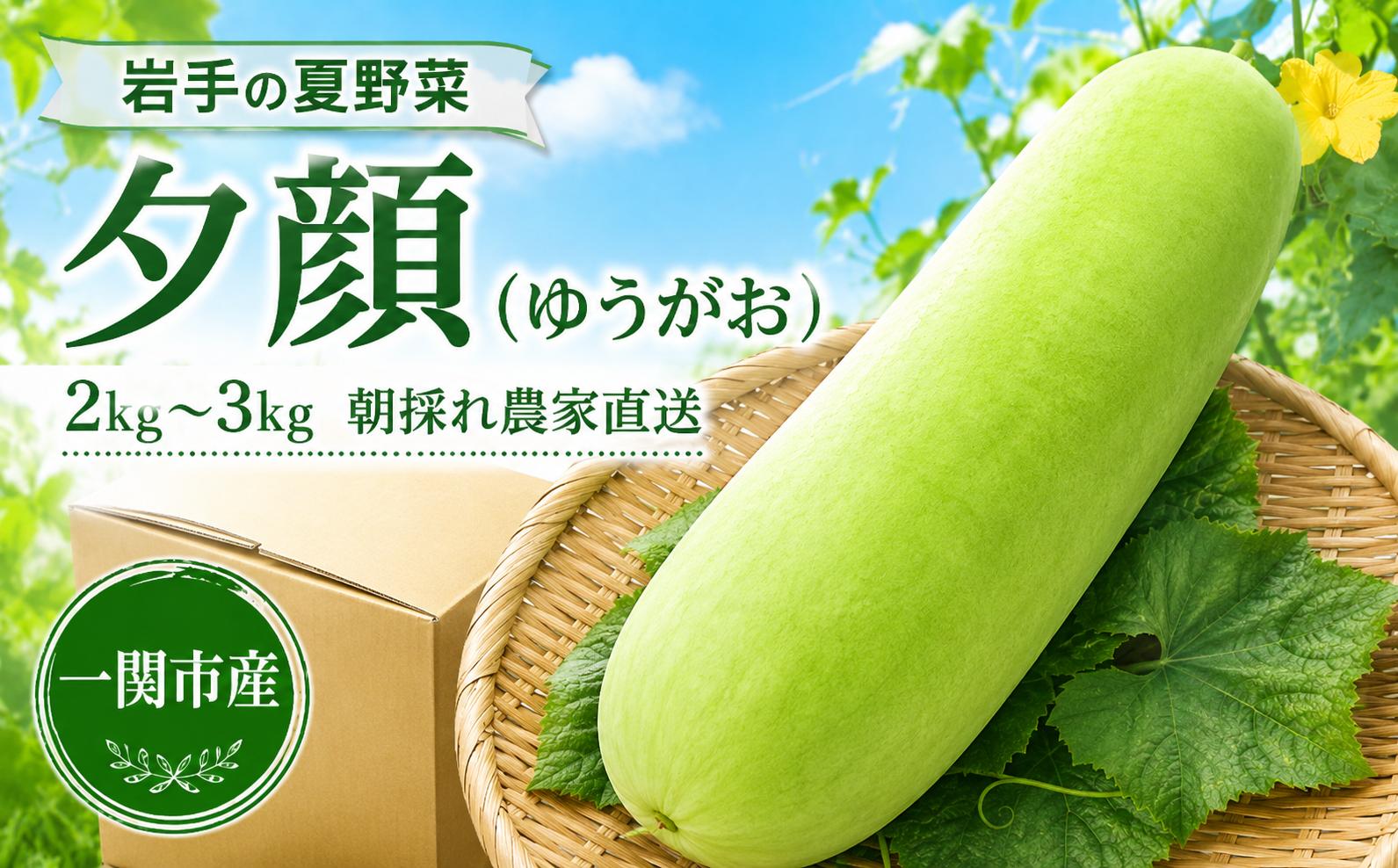 
                  【数量/期間限定】農家直送 一関市産 夕顔 1本 2～3kg ゆうがお 国産 夏野菜 野菜 郷土食材 煮物用 岩手県 一関市
                