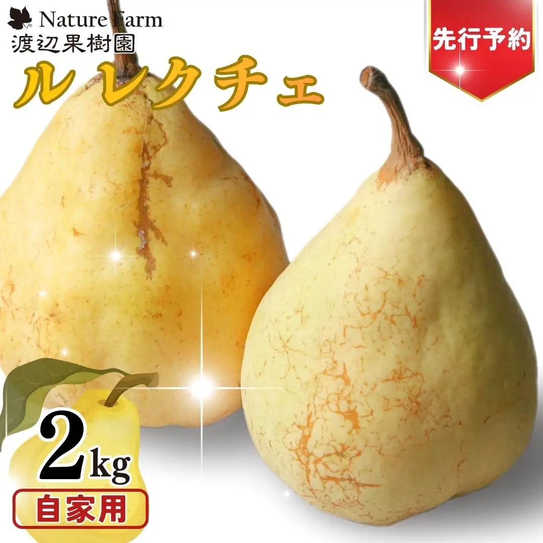 先行予約 ル レクチェ 自家用 2kg (4~7玉) 令和8年度 西洋梨 ル レクチエ 洋梨 化粧箱 洋ナシ ル・レクチェ [渡辺果樹園]