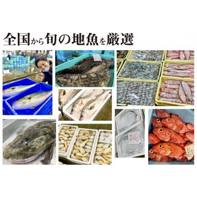 ふるさと納税 下関市 【お試し1回】 サカナDIY 2人前 2種×1ヶ月魚料理キット 冷凍 CX209-x |  | 01