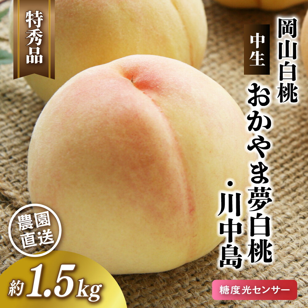 【ふるさと納税】 岡山白桃 中生 おかやま夢白桃・川中島 特秀品 約1.5kg 4～6玉 【2026年先行予約】 中生 白桃 贈答 お中元 ギフト 産直 高級 フルーツ 果物 くだもの プレゼント 【配送不可地域：北海道／沖縄県／離島】 momo46