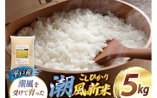 米 令和7年産 平戸産潮風新米 5kg [ひらど新鮮市場 長崎県 平戸市 hr42bgy400063] お米 ごはん 新米 白米 精米 国産 5キロ  こしひかり