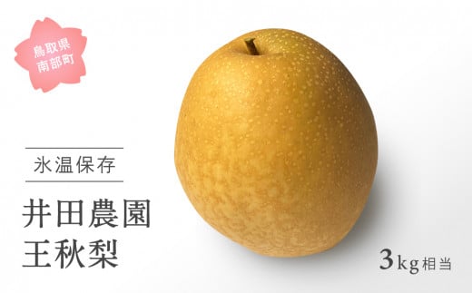 【ID03_01】鳥取県南部町産　井田農園の王秋[梨]（3kg箱）＜令和8年1月出荷＞