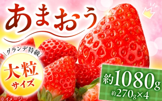 あまおう いちご 1080g（約270g×4パック）【2027年1月中旬より順次発送】 《築上町》【株式会社HSP-テクノ】[ABFG001] ブランドいちご あまおう 苺 アマオウ 福岡県産 果物 九州 あまおう 冷蔵 博多あまおう イチゴ くだもの ブランドいちご いちご strawberry 生いちご フルーツ amaou 博多あまおう お取り寄せ 福岡県 福岡 15000 15000円