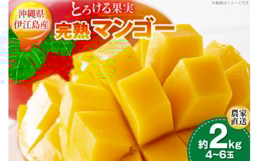 【期間限定発送】 完熟 マンゴー (アーウィン種) 約 2kg (4〜6玉) [伊江村マンゴー部会 沖縄県 伊江村 ie47bde320013] 沖縄 フルーツ 果物 甘い 夏 濃厚 Mango 果物 果実 くだもの