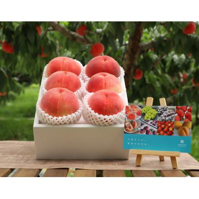 ふるさと納税 笛吹市 【発送月固定定期便】フルーツギフト専門店が選ぶ笛吹市の厳選フルーツ定期便　全2品種全2回 |  | 01