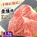 【ふるさと納税】おおいた豊後牛 サーロインステーキ 250g~1kg (250g/枚) 日田市 / 株式会社MEAT PLUS　肉 牛肉 和牛[AREI006/AREI007/AREI008]