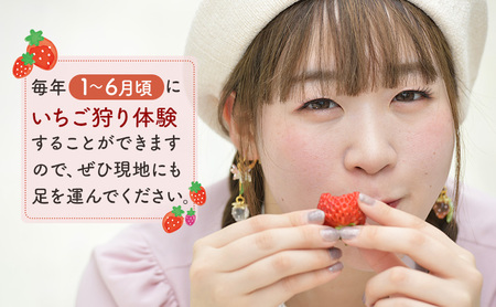 秋田県 羽後町産 訳あり いちご 品種指定不可 200g×2パック 端縫いシルクインナー入り　[ いちご 苺 イチゴ フルーツ 果物 ]