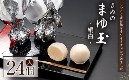 きぬのまゆ玉 24個（絹白） チョコレート 和菓子 常温 贈答 ギフト 手土産 お土産 お中元 お歳暮 【有限会社　湖月庵】【ho1543】