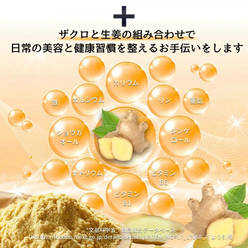 【全3回】魅惑ザクロ GINGER Boost(福岡市返礼品)【4袋入り】