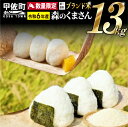 【ふるさと納税】令和6年産★数量限定★熊本を代表するブランド米13kg（森のくまさん5kg×2袋、3kg×1袋）【配送月選択可！】 【価格改定ZE】