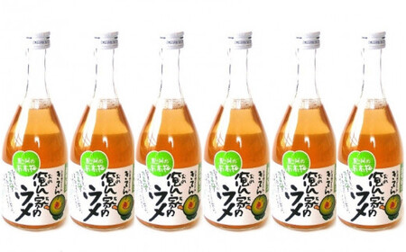 紀州産ミカンジュースと南高梅のジュースセット 季節毎の柑橘ジュース500ml×６本・梅ジュース500ml×６本 / 和歌山 和歌山県産 田辺市 紀州南高梅 梅  梅ジュース みかん みかんジュース 1