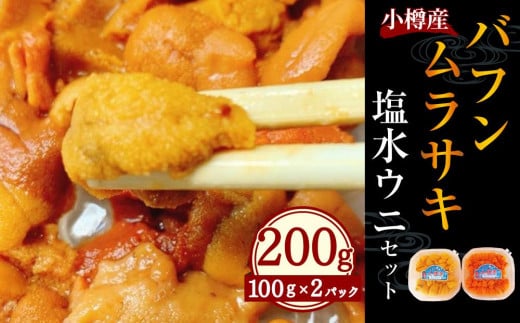 小樽産 バフン・ムラサキ 塩水生ウニ セット 100g×2パック 合計約200g うに ウニ 生ウニ 北海道 小樽市【2025年6月上旬-8月上旬 発送予定】