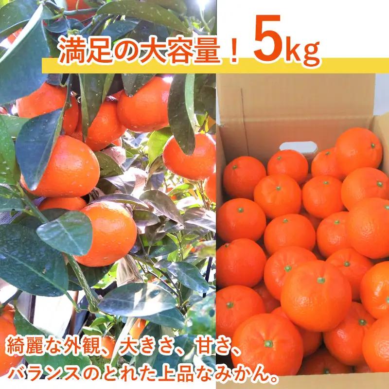 『先行予約』【令和9年2月中旬発送】マーコット（ハウス栽培）唐津産 5kg みかん ミカン 果物 フルーツ