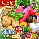 【ふるさと納税】【先行予約】【全3回定期便】すずなり採れたて野菜BOX　(7〜10品) 冬（12月〜2月）【鈴也ファーム】[AKCE008]