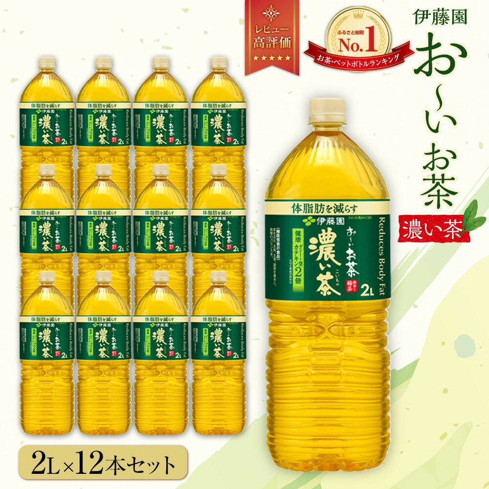 【ふるさと納税】お～いお茶　濃い茶2L　12本セット | おーいお茶 ペットボトル ぺットボトル飲料 2リットル ケース 箱 伊藤園 静岡 カテキン 送料無料 健康 飲料 ソフトドリンク まとめ買い 常備品