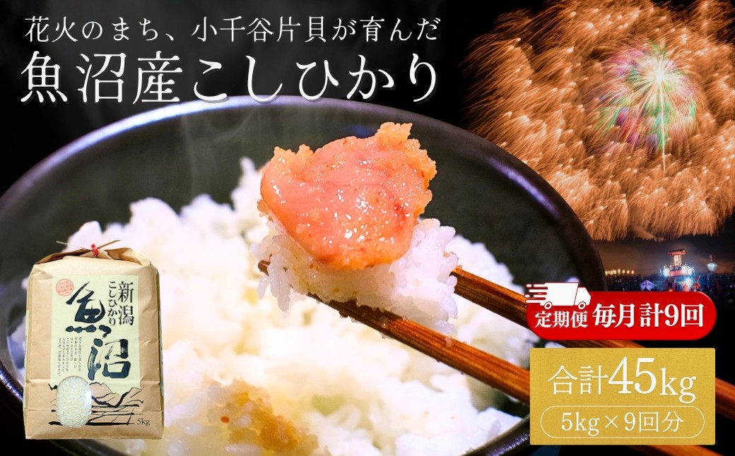 
                  【コシヒカリ 定期便】令和7年産 魚沼産コシヒカリ 5kg × 9回 (計45kg) 毎月お届け 米萬商店 | 9ヶ月コース 四尺玉の町・片貝産 新潟 白米 頒布会 産地直送 老舗米屋の厳選米 新潟県産コシヒカリ 新潟県産こしひかり 魚沼コシヒカリ お米 米 こしひかり 白米 精米 ブランド米 特A評価 新潟県 小千谷市【0002-KM09DB00-02】
                