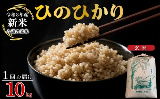 【令和8年産先行予約】【1回お届け】ひのひかり 玄米 10kg