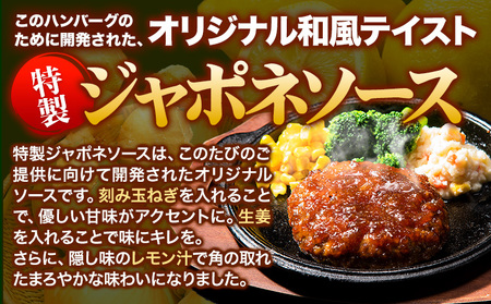 ハンバーグ 15個 国産のお肉使用！ 鶏肉不使用 温めるだけ 「通の贅沢ハンバーグ」特製ジャポネソース《7-14日以内に出荷予定(土日祝除く)》 牛 訳あり 小分け 早く届く