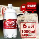 【ふるさと納税】【毎月定期便】【6か月お届け】ウィルキンソン タンサン 1000ml【12本入】2箱 アサヒ全6回【4050129】